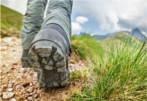 رعایت حق تقدم در مسیرهای کوهستانی